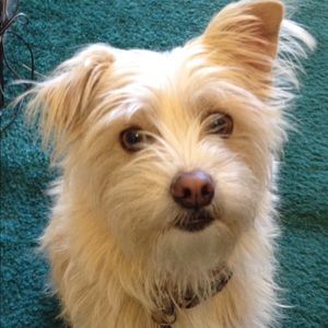 Meet your Posher, Sally